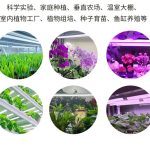 全光谱照明产品应用领域有哪些？