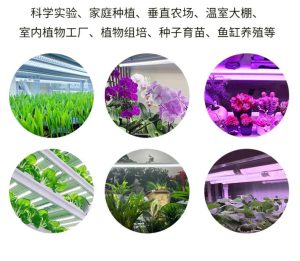 全光谱照明产品应用领域有哪些？